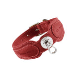 Pagerie x Eden Rock - Dog Collar